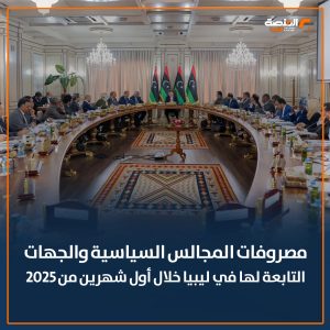 مصروفات المجالس السياسية