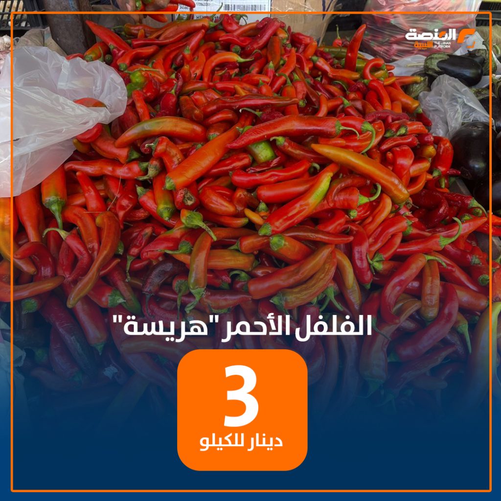 04 copy 11 قبيل العيد .. المنصة تتجول في سوق حي الإسلامي للخضروات في طرابلس