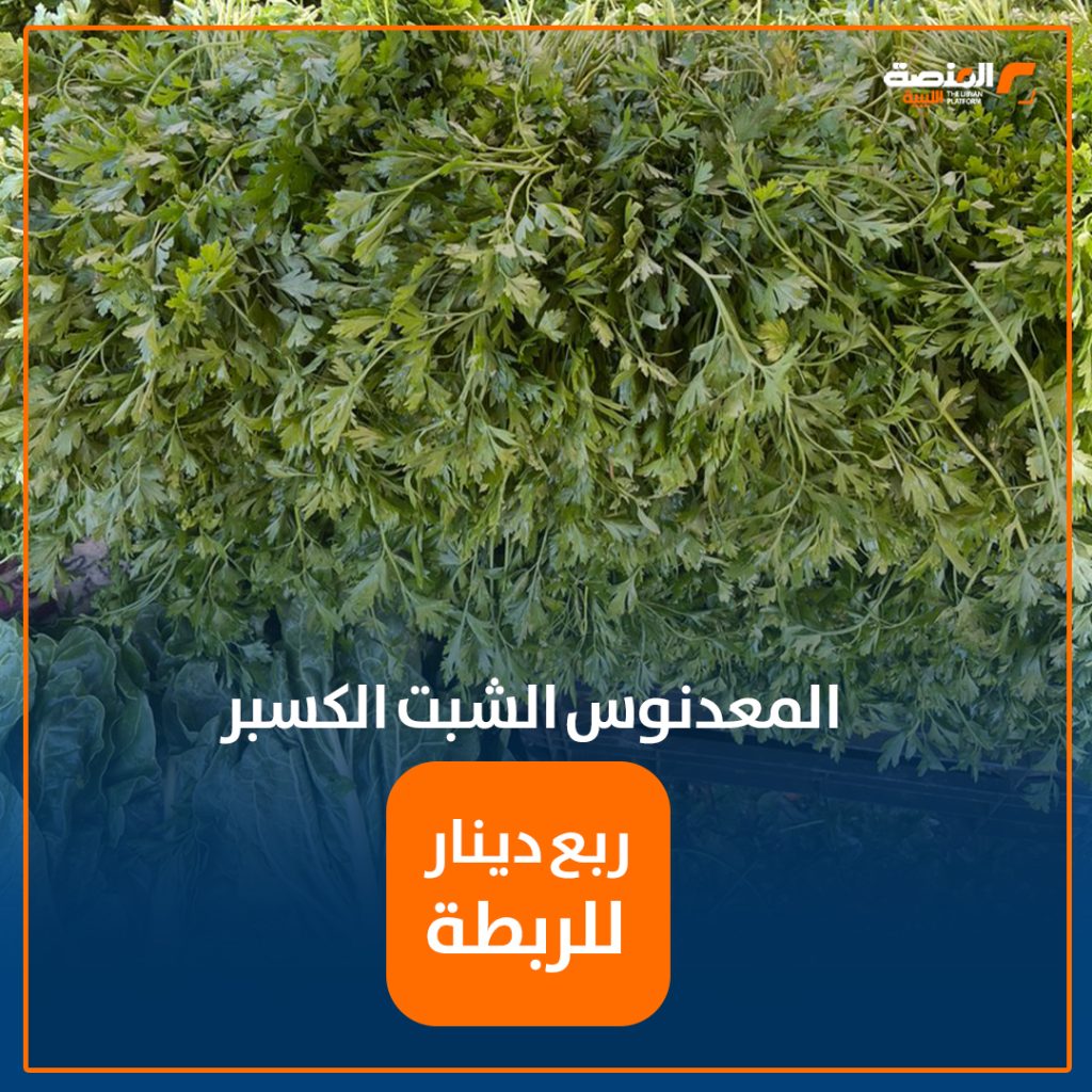 12 copy قبيل العيد .. المنصة تتجول في سوق حي الإسلامي للخضروات في طرابلس