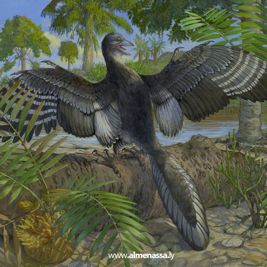 أحفورة نادرة تكشف أسرار قدرة أقدم طائر معروف على الطيران 4 3 9