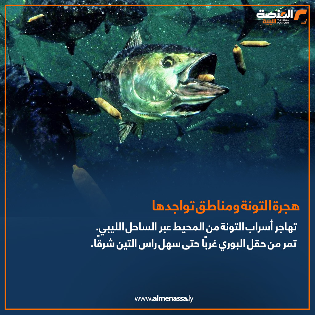 Artboard 3 2 مايو ... اليوم العالمي لسمكة التونة