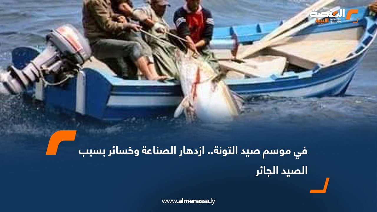 في موسم صيد التونة.. ازدهار الصناعة وخسائر بسبب الصيد الجائر