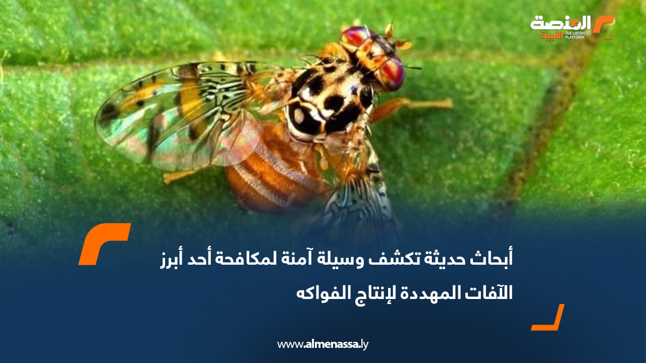 أبحاث حديثة تكشف وسيلة آمنة لمكافحة أحد أبرز الآفات المهددة لإنتاج الفواكه
