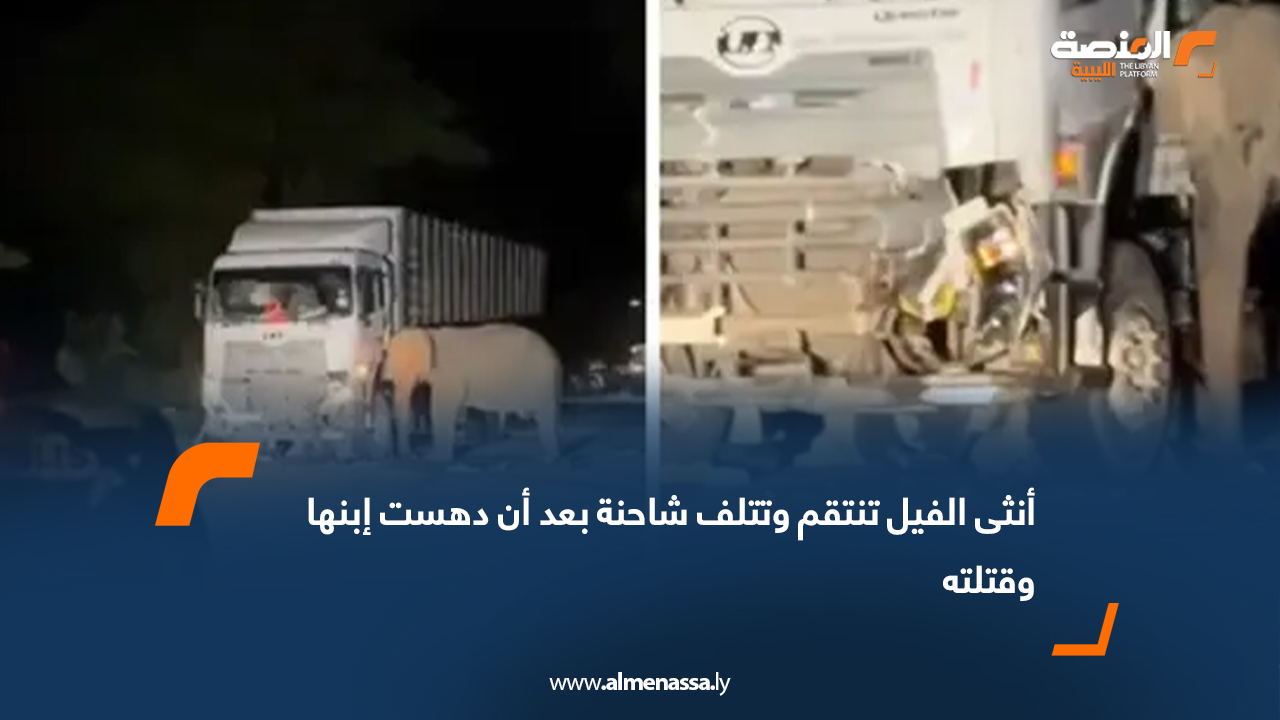 أنثى الفيل تنتقم وتتلف شاحنة بعد أن دهست إبنها وقتلته