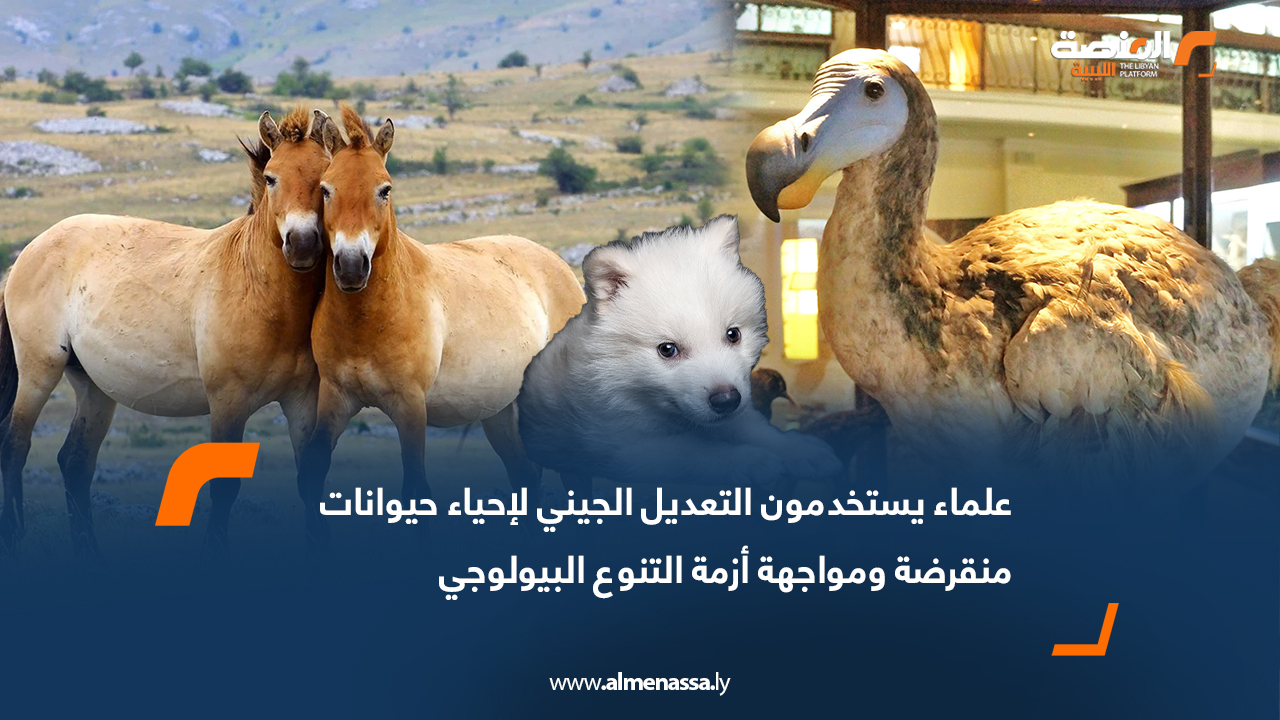 علماء يستخدمون التعديل الجيني لإحياء حيوانات منقرضة ومواجهة أزمة التنوع البيولوجي