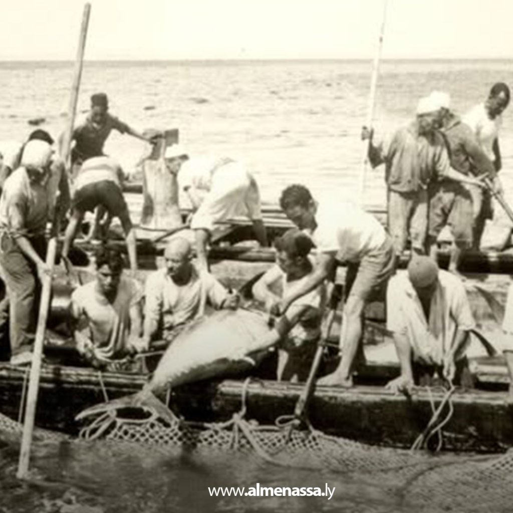 extra 196 في موسم صيد التونة.. ازدهار الصناعة وخسائر بسبب الصيد الجائر
