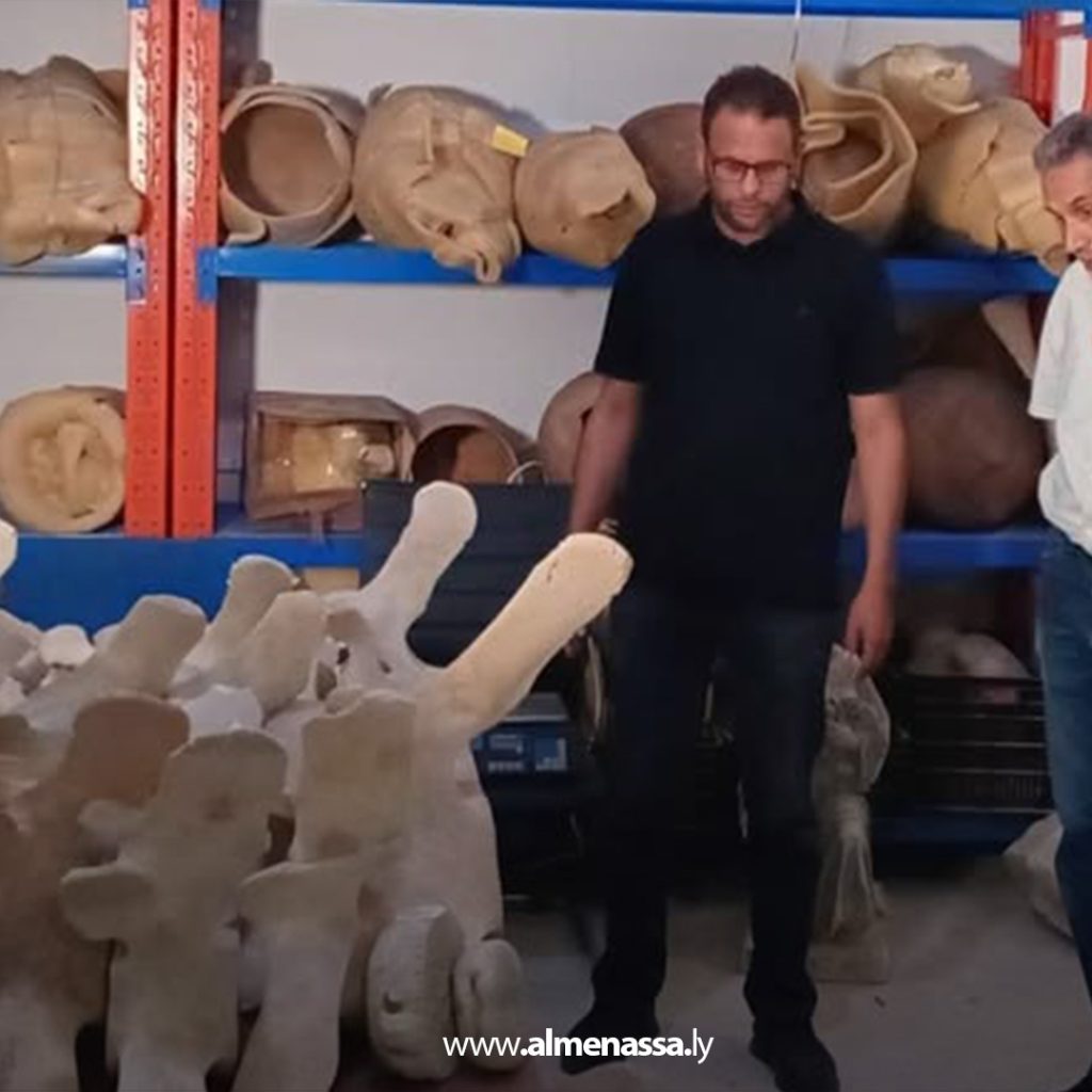 extra 248 تعاون بين مراقبة آثار بنغازي وكلية العلوم لحفظ هيكل عظمي لحوت ضخم