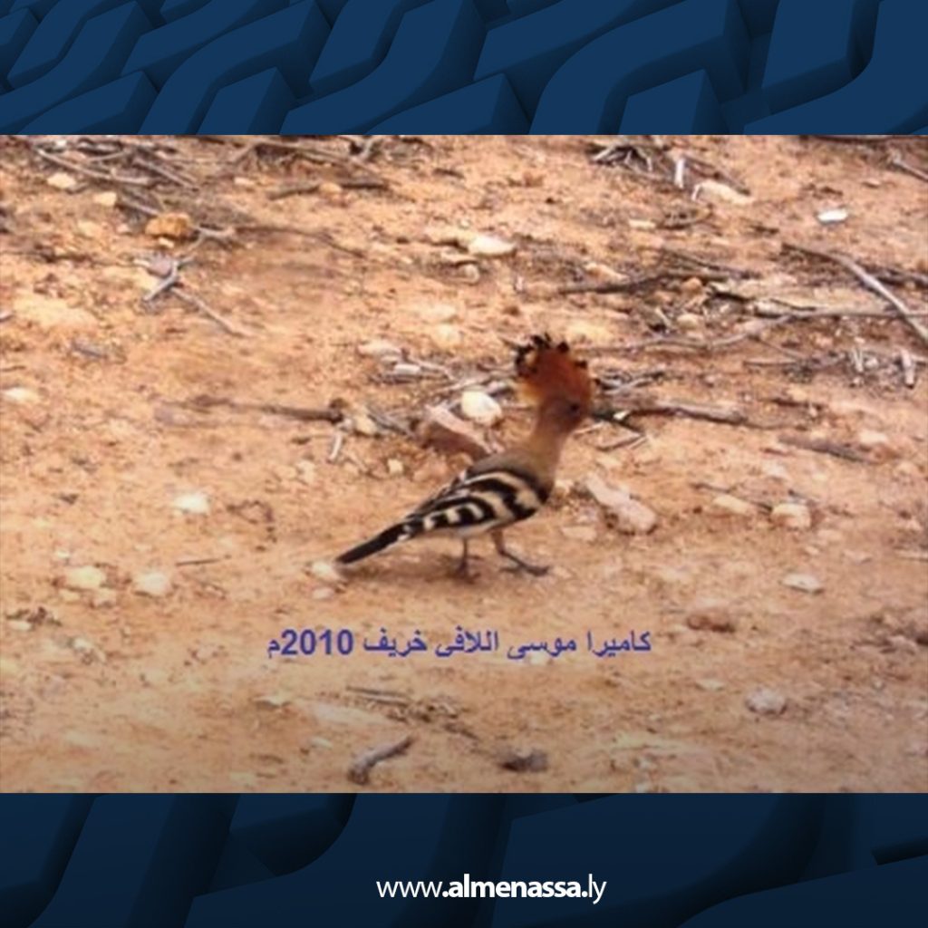 لا أكتبُ للشعراءْ .. لا أكتبُ للفقهاءْ .. لا أكتبُ للأُمراءْ .. أنا أكتبُ للقراءْ .. البُسَطَاء البُّرَآءْ 1 extra Recovered 3