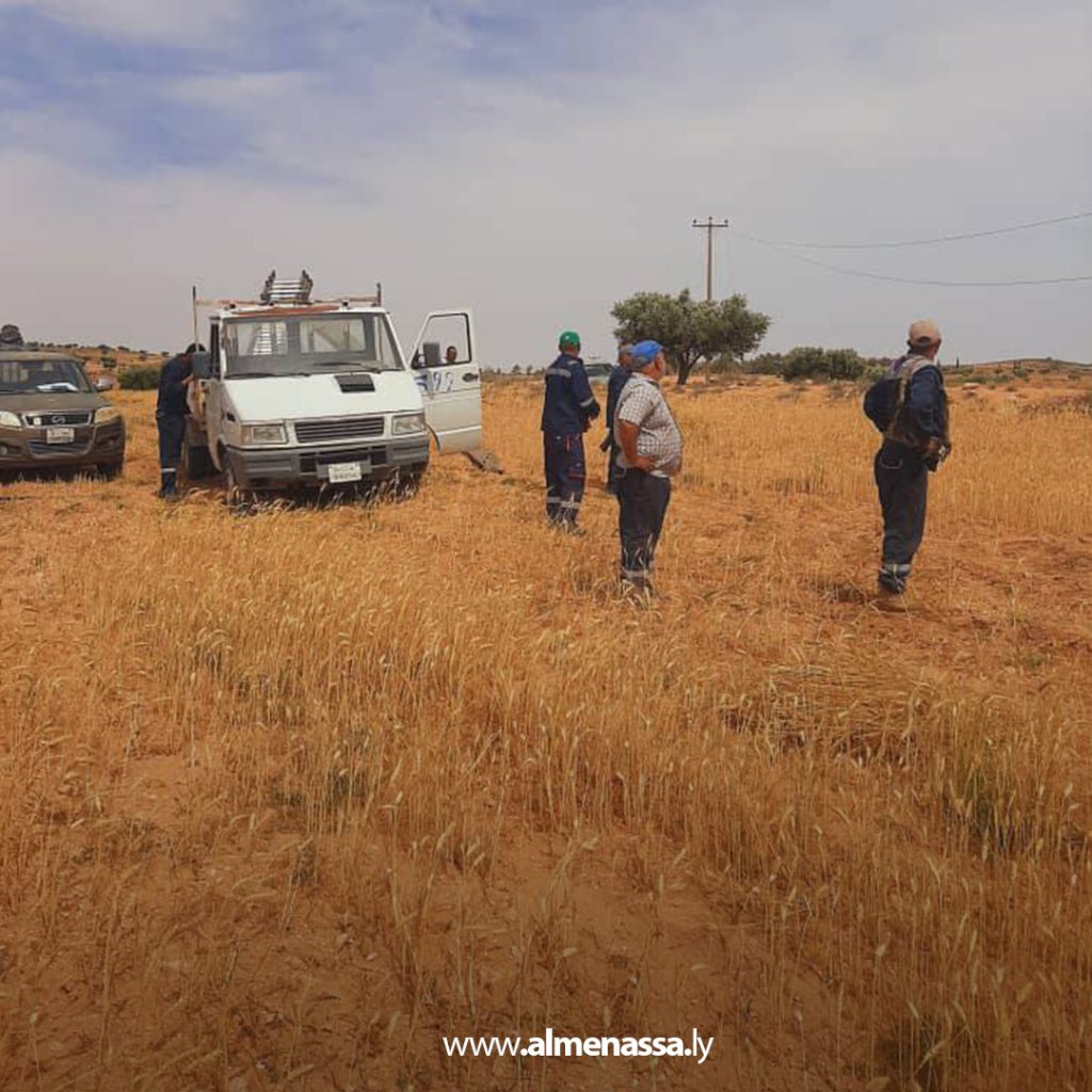 extra1 130 جهود مستمرة لصيانة الشبكة الكهربائية في منطقة سوق الأحد