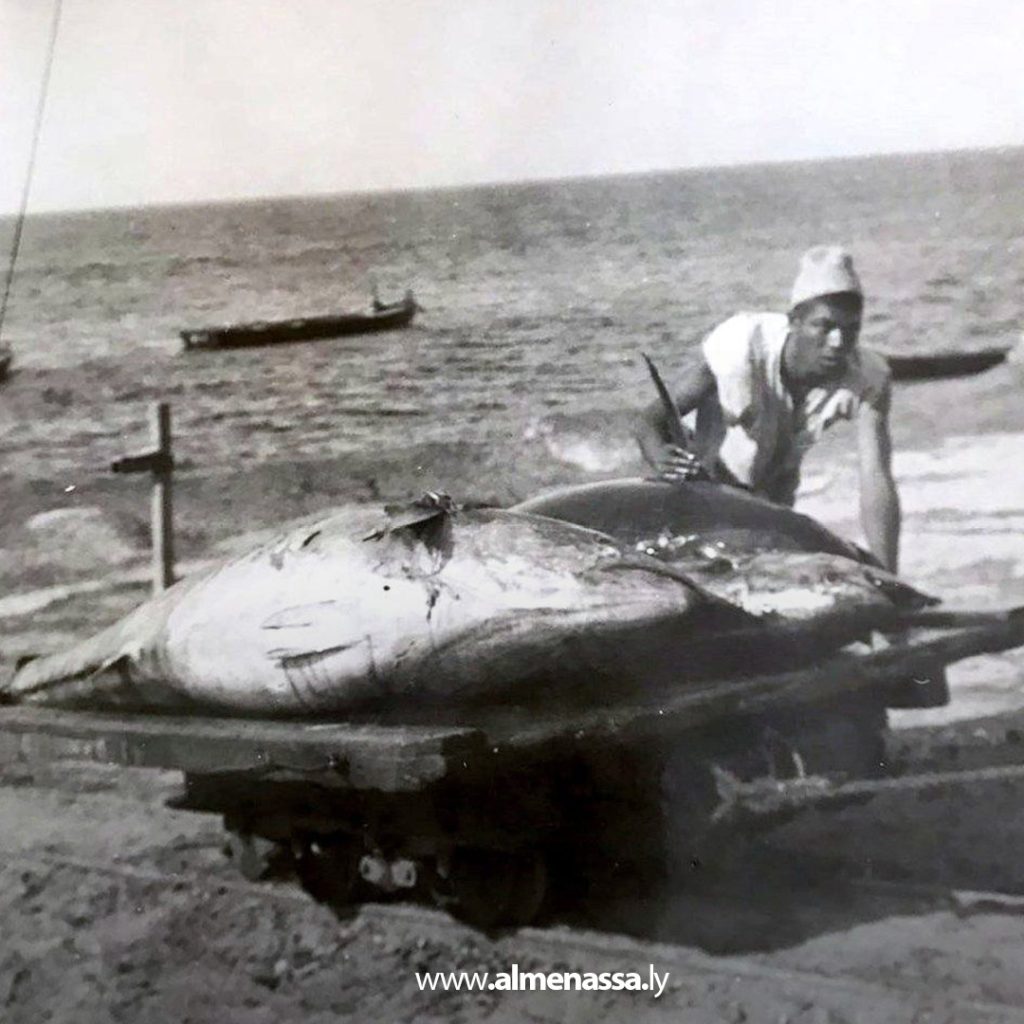 extra1 142 في موسم صيد التونة.. ازدهار الصناعة وخسائر بسبب الصيد الجائر