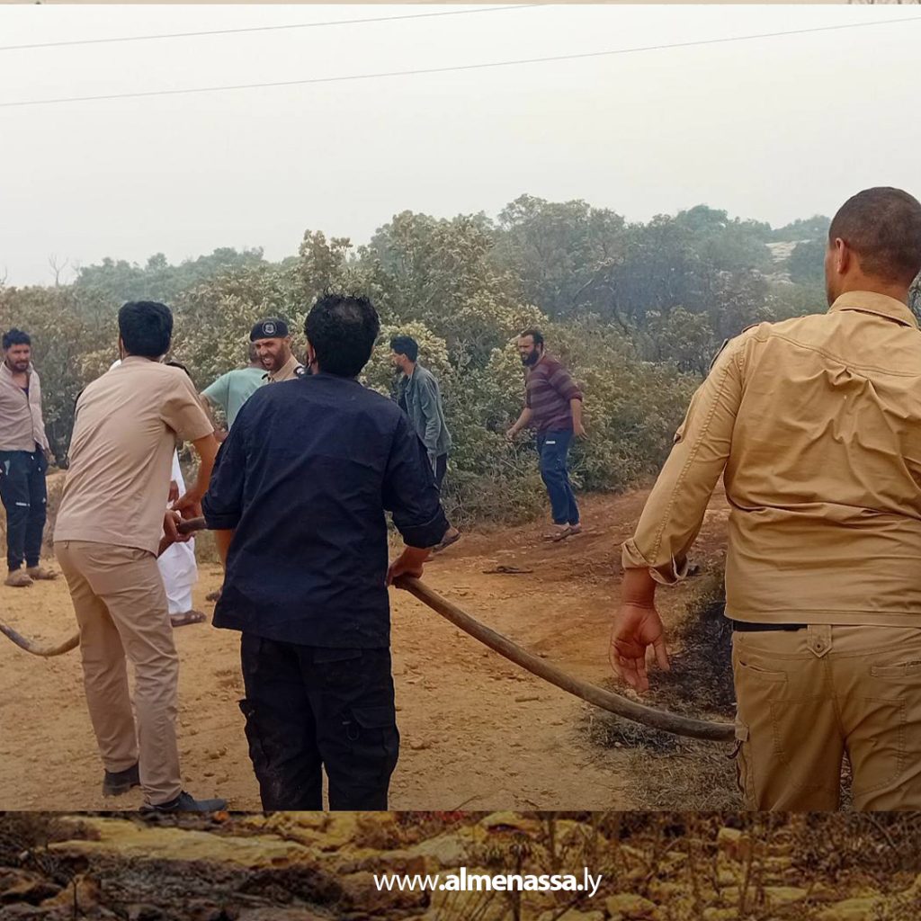 extra1 157 السيطرة على ثلاث حرائق في نطاق القبة بعد تدخل سريع من أجهزة الشرطة الزراعية والأمنية