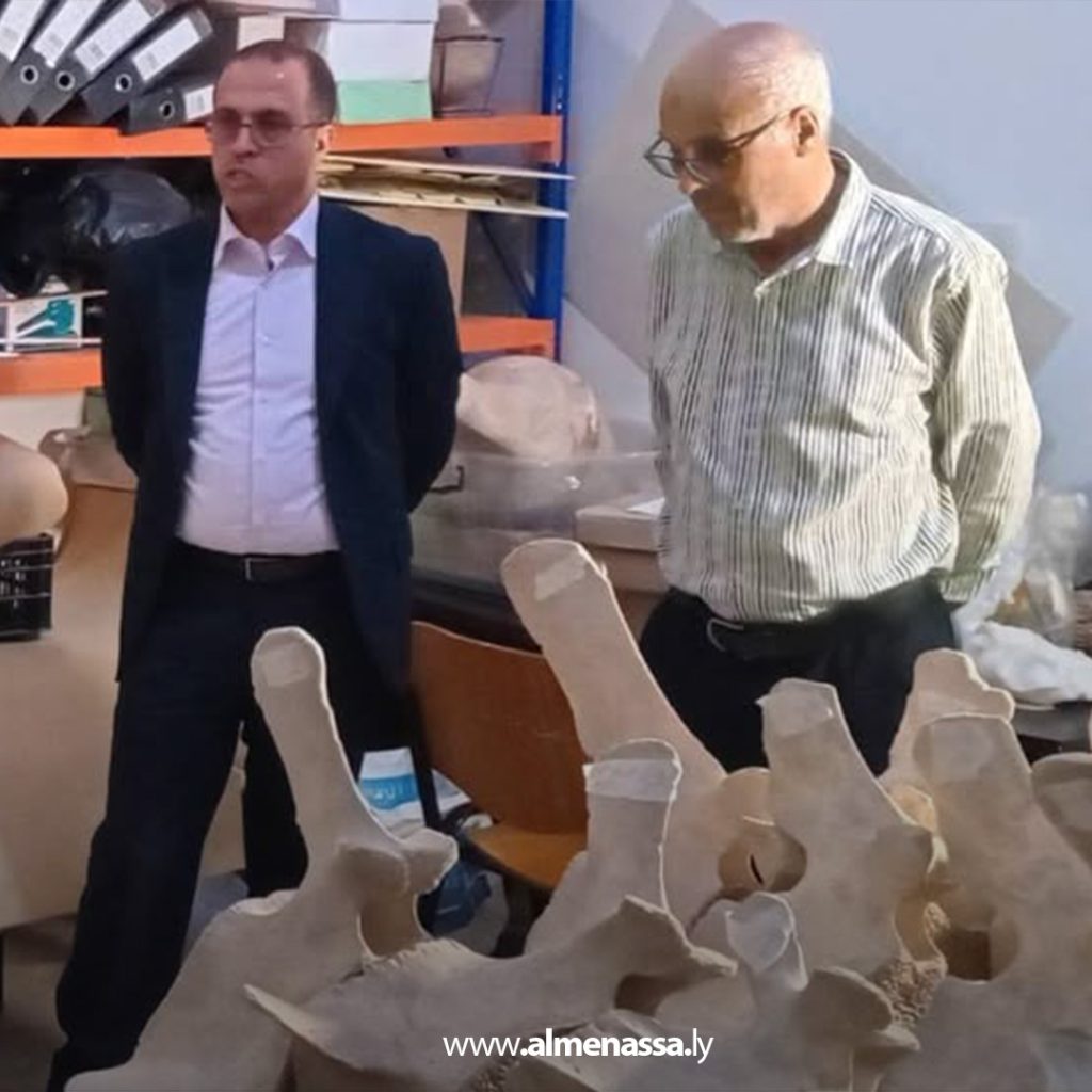 extra1 171 تعاون بين مراقبة آثار بنغازي وكلية العلوم لحفظ هيكل عظمي لحوت ضخم