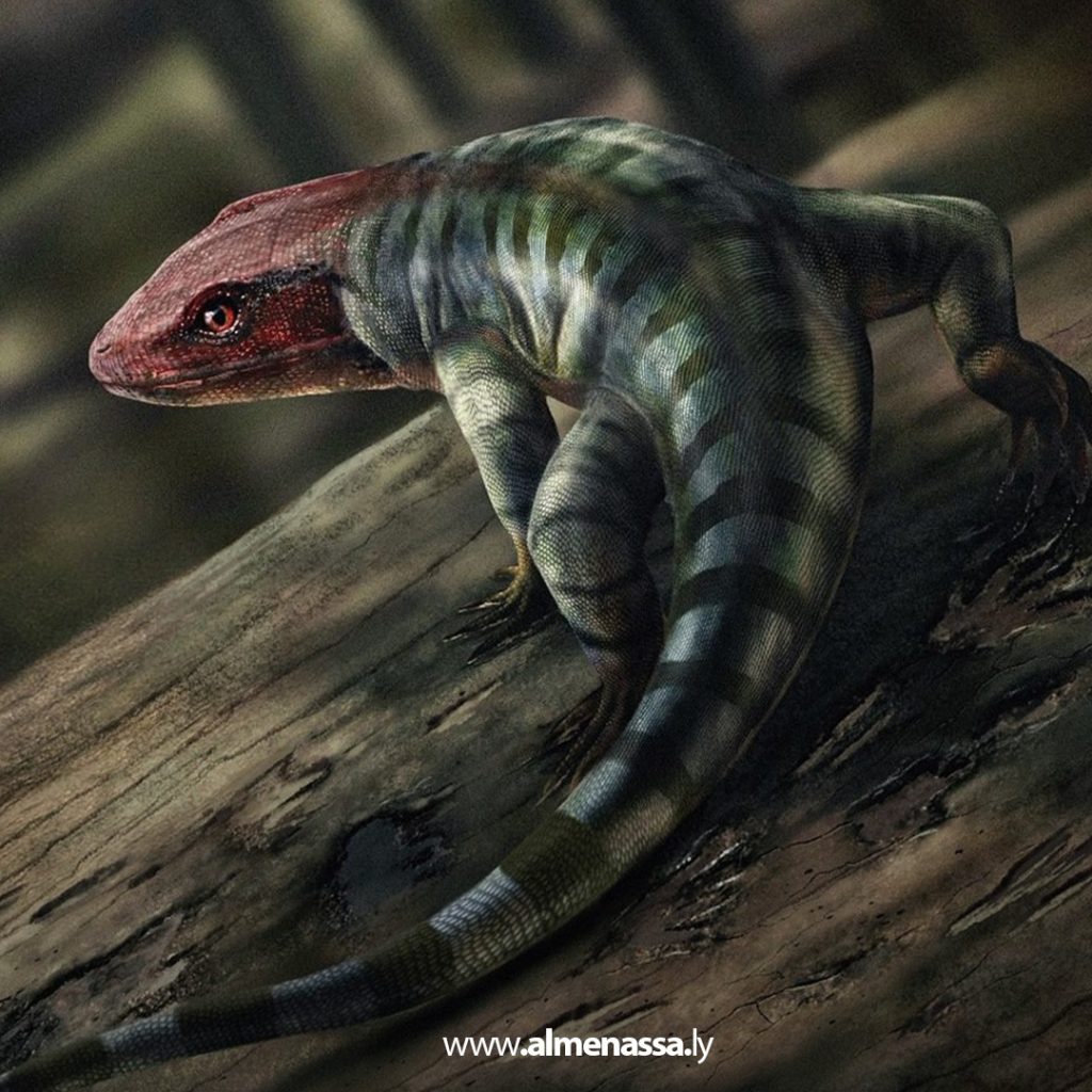 extra1 174 اكتشاف آثار أقدام قديمة في أستراليا يُعيد رسم خريطة تطوّر الزواحف على الأرض