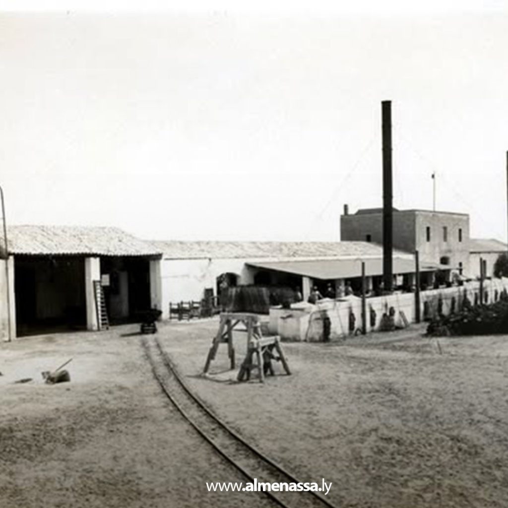 extra11 120 في موسم صيد التونة.. ازدهار الصناعة وخسائر بسبب الصيد الجائر