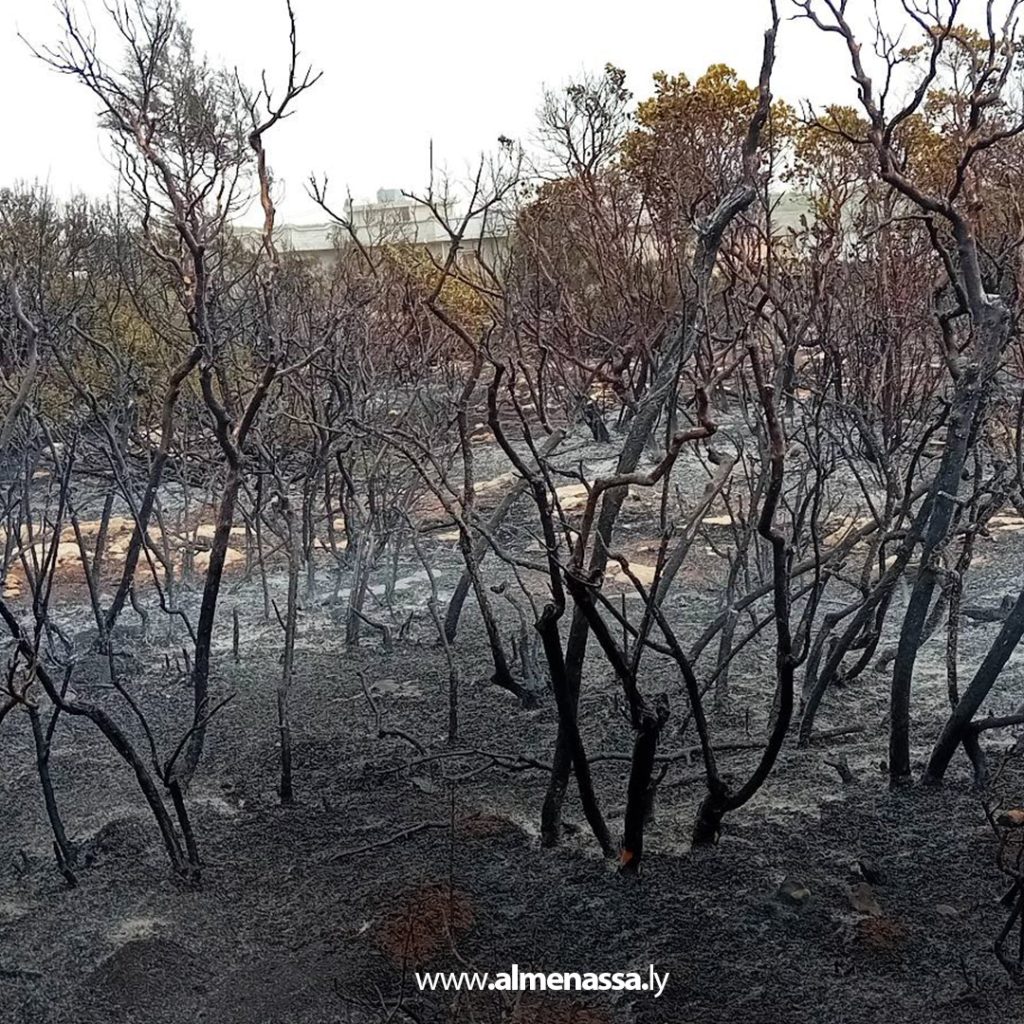 extra11 132 السيطرة على ثلاث حرائق في نطاق القبة بعد تدخل سريع من أجهزة الشرطة الزراعية والأمنية