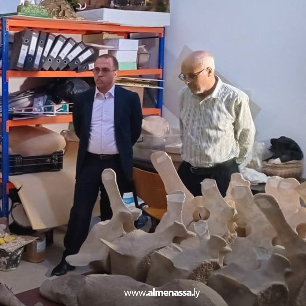 extra11 146 تعاون بين مراقبة آثار بنغازي وكلية العلوم لحفظ هيكل عظمي لحوت ضخم
