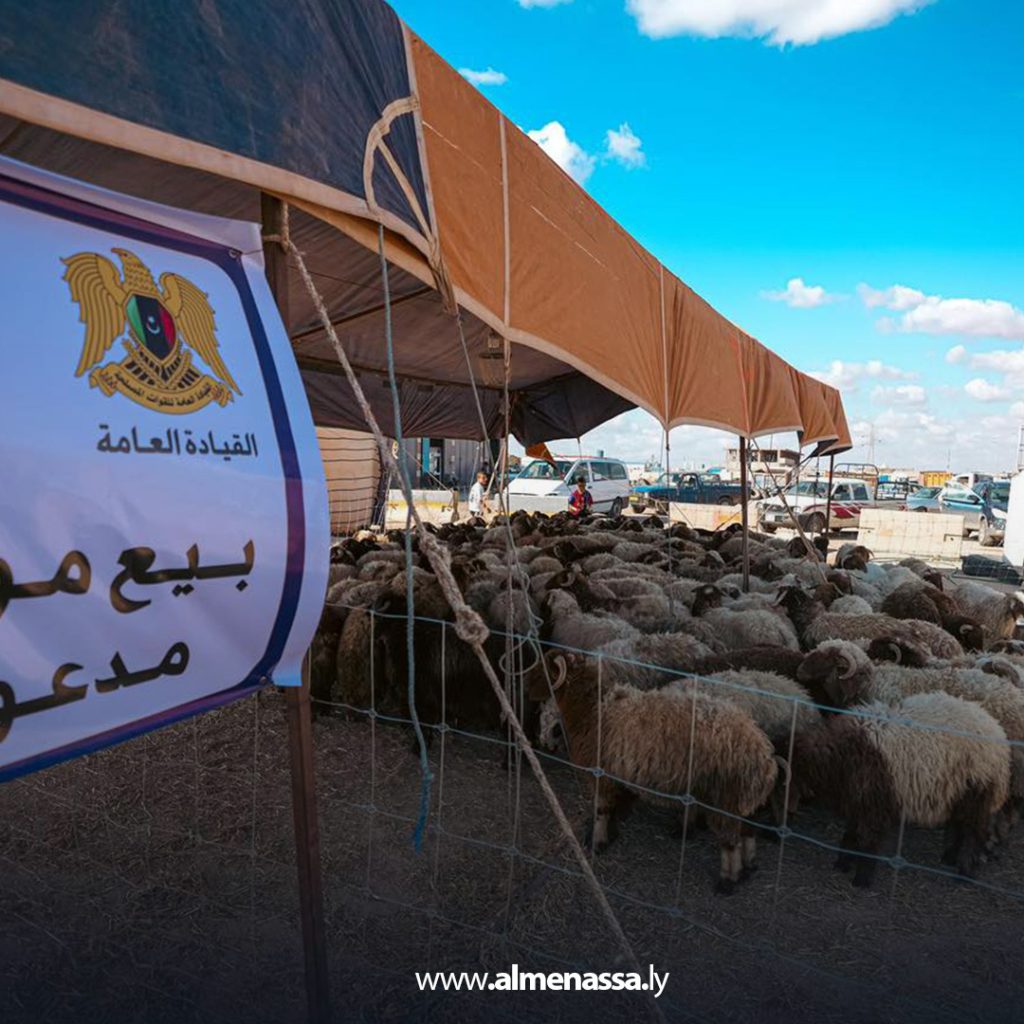 extra11 190 وصول أولى دفعات الأضاحي المدعومة من الحكومة الليبية إلى بلدية الأبيار