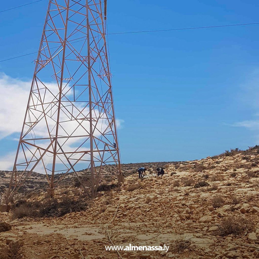 extra111 75 صيانة خطوط الجهد الفائق بدرنة ترفع كفاءة الشبكة استعدادًا للصيف