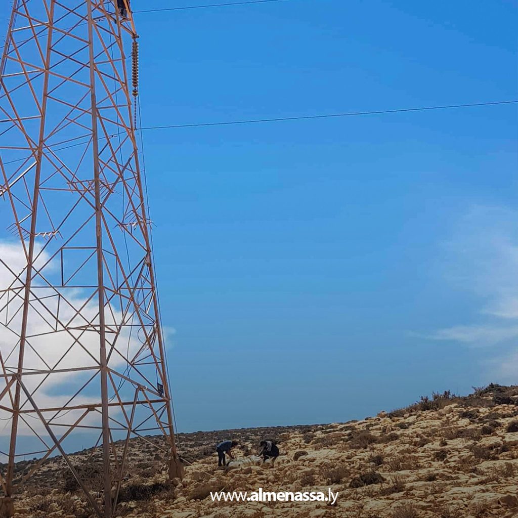 extra1111 55 صيانة خطوط الجهد الفائق بدرنة ترفع كفاءة الشبكة استعدادًا للصيف
