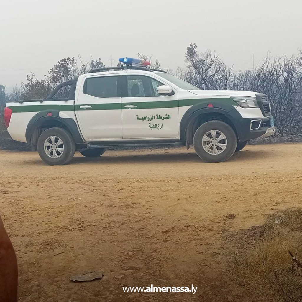 extra1111 60 السيطرة على ثلاث حرائق في نطاق القبة بعد تدخل سريع من أجهزة الشرطة الزراعية والأمنية