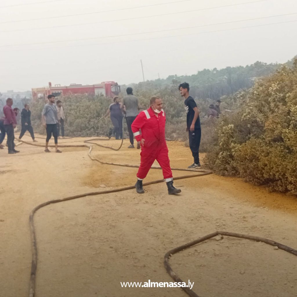 extra111111 33 السيطرة على ثلاث حرائق في نطاق القبة بعد تدخل سريع من أجهزة الشرطة الزراعية والأمنية