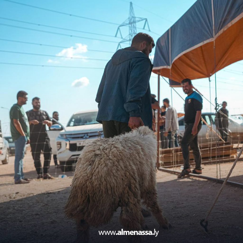 extra111111 51 وصول أولى دفعات الأضاحي المدعومة من الحكومة الليبية إلى بلدية الأبيار