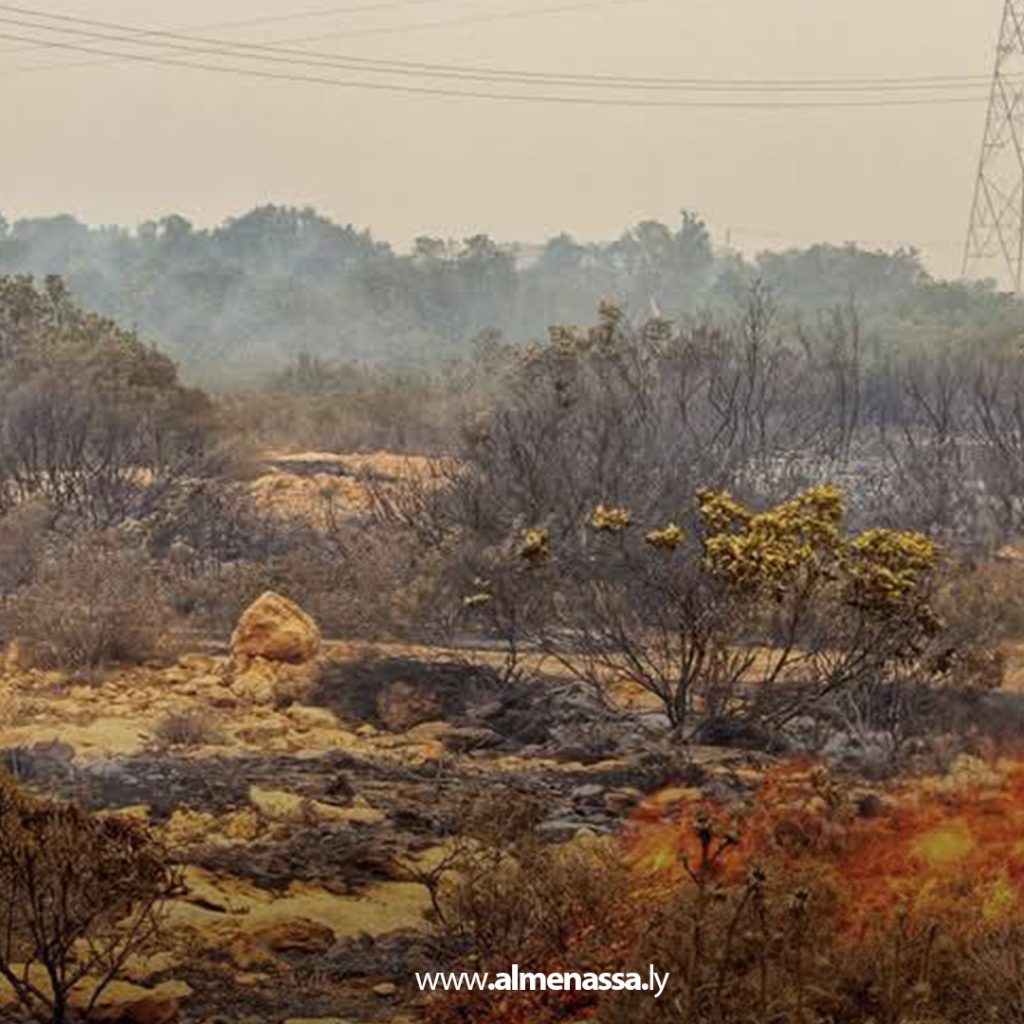 extra1111111 27 السيطرة على ثلاث حرائق في نطاق القبة بعد تدخل سريع من أجهزة الشرطة الزراعية والأمنية