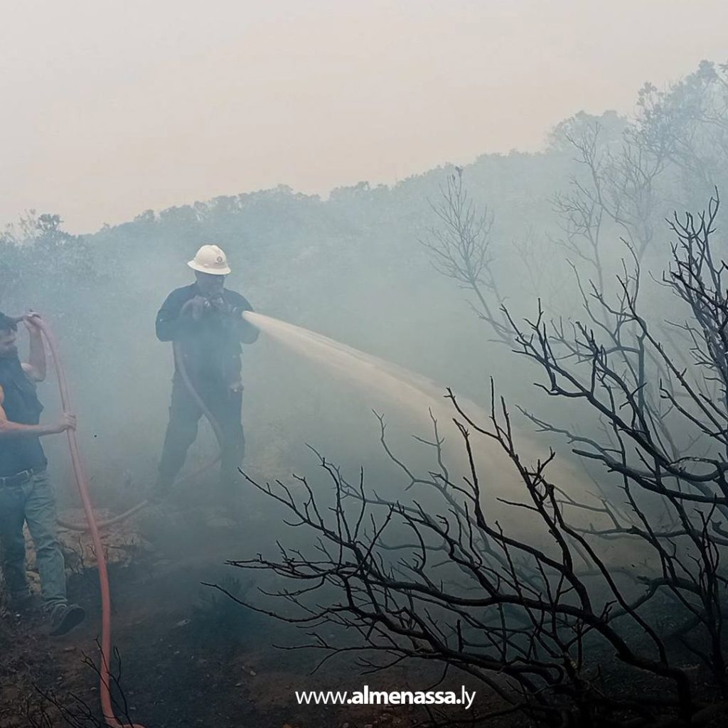 extra11111111 22 السيطرة على ثلاث حرائق في نطاق القبة بعد تدخل سريع من أجهزة الشرطة الزراعية والأمنية