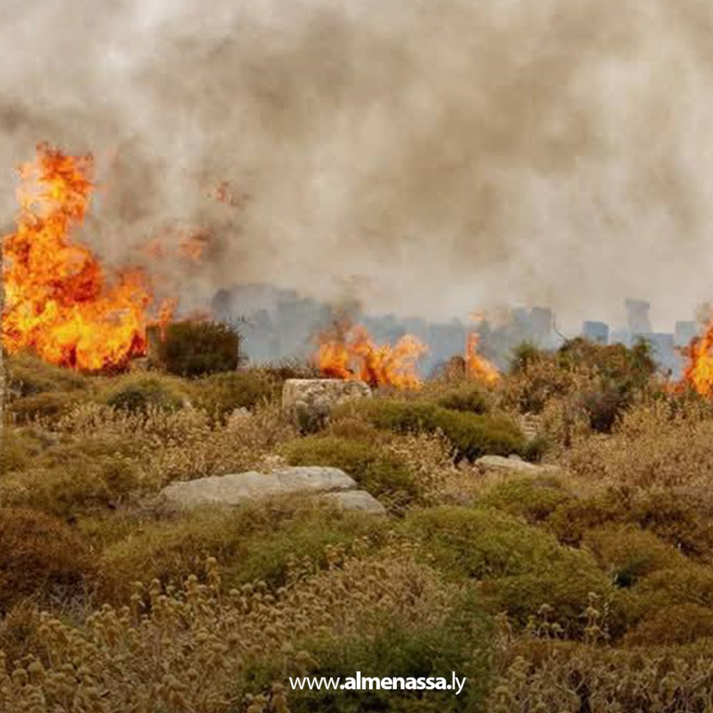 extra111111111 18 السيطرة على ثلاث حرائق في نطاق القبة بعد تدخل سريع من أجهزة الشرطة الزراعية والأمنية