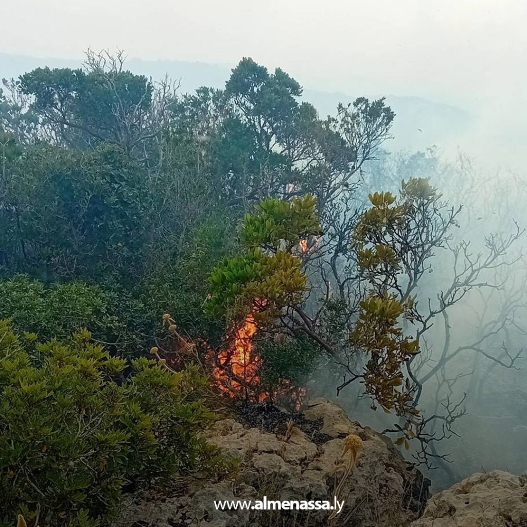 extra1111111111 15 السيطرة على ثلاث حرائق في نطاق القبة بعد تدخل سريع من أجهزة الشرطة الزراعية والأمنية