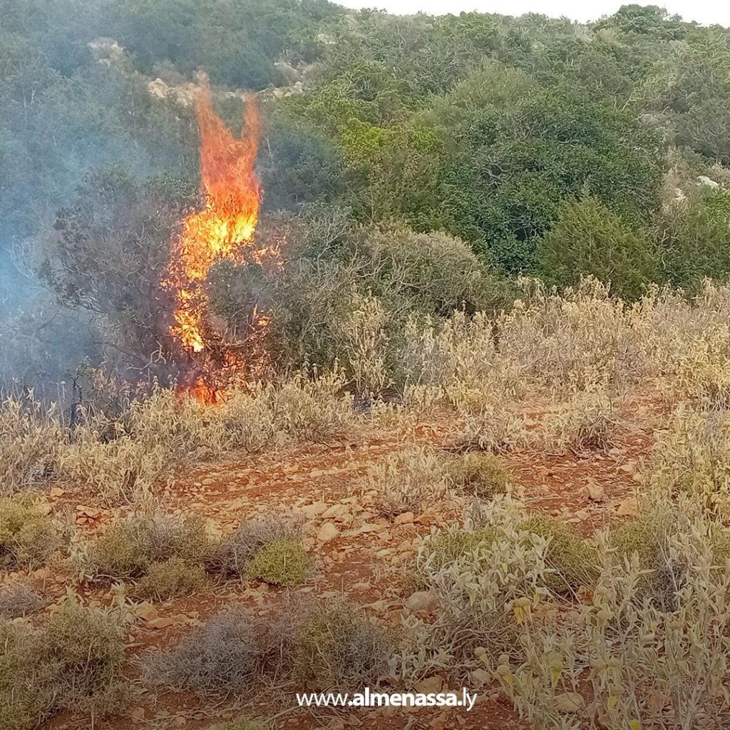 extra11111111111 12 السيطرة على ثلاث حرائق في نطاق القبة بعد تدخل سريع من أجهزة الشرطة الزراعية والأمنية