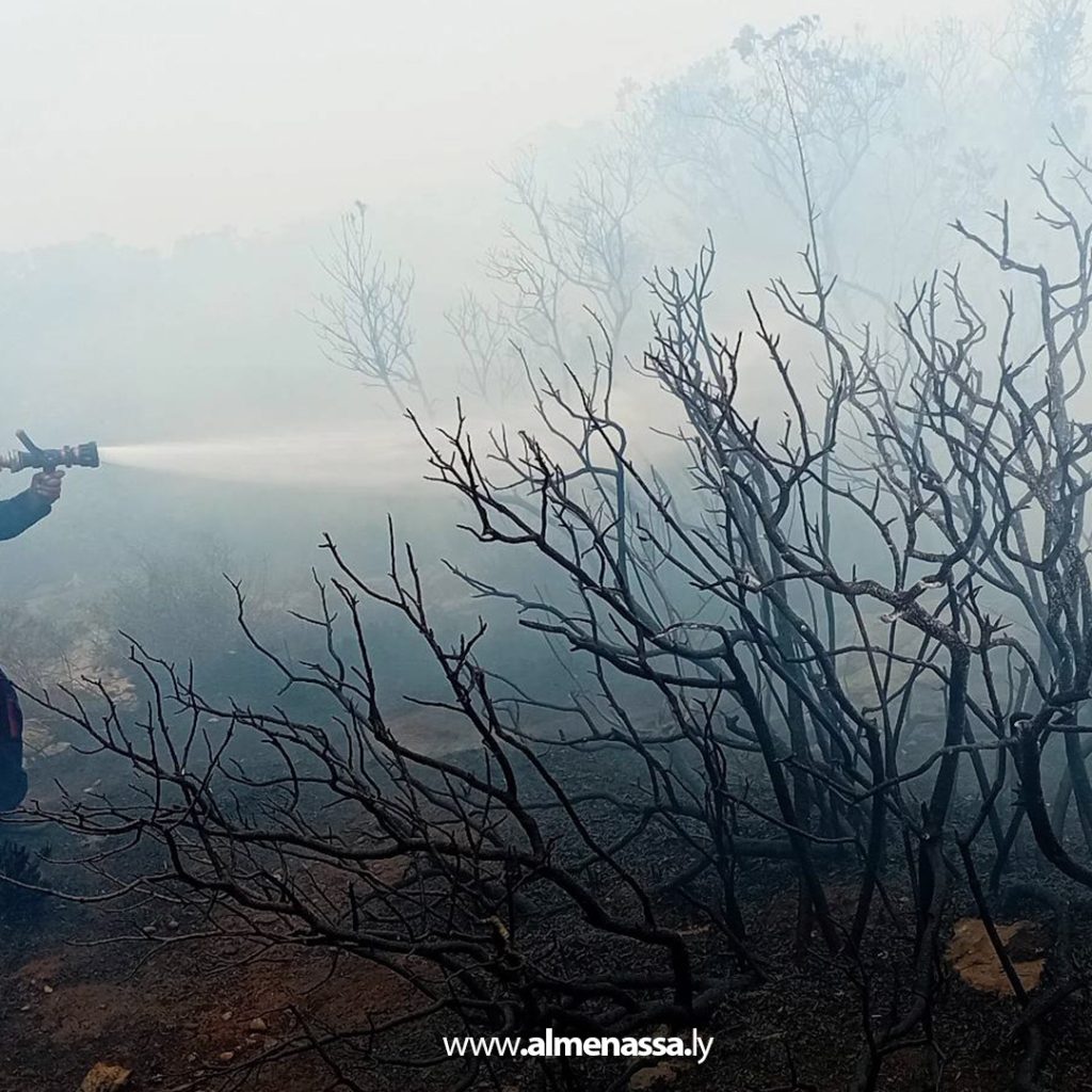 extra1111111111111 6 السيطرة على ثلاث حرائق في نطاق القبة بعد تدخل سريع من أجهزة الشرطة الزراعية والأمنية