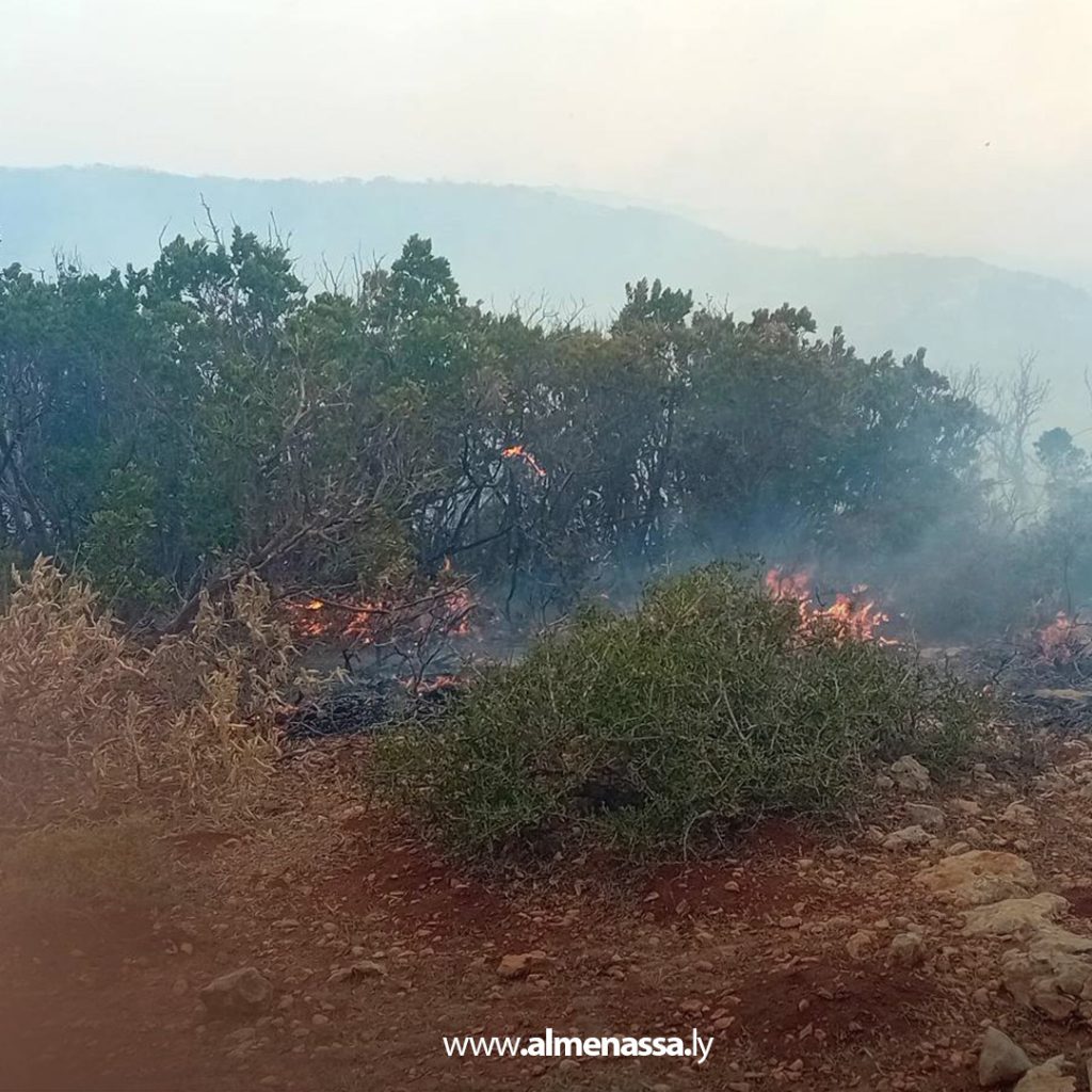 extra11111111111111 3 السيطرة على ثلاث حرائق في نطاق القبة بعد تدخل سريع من أجهزة الشرطة الزراعية والأمنية