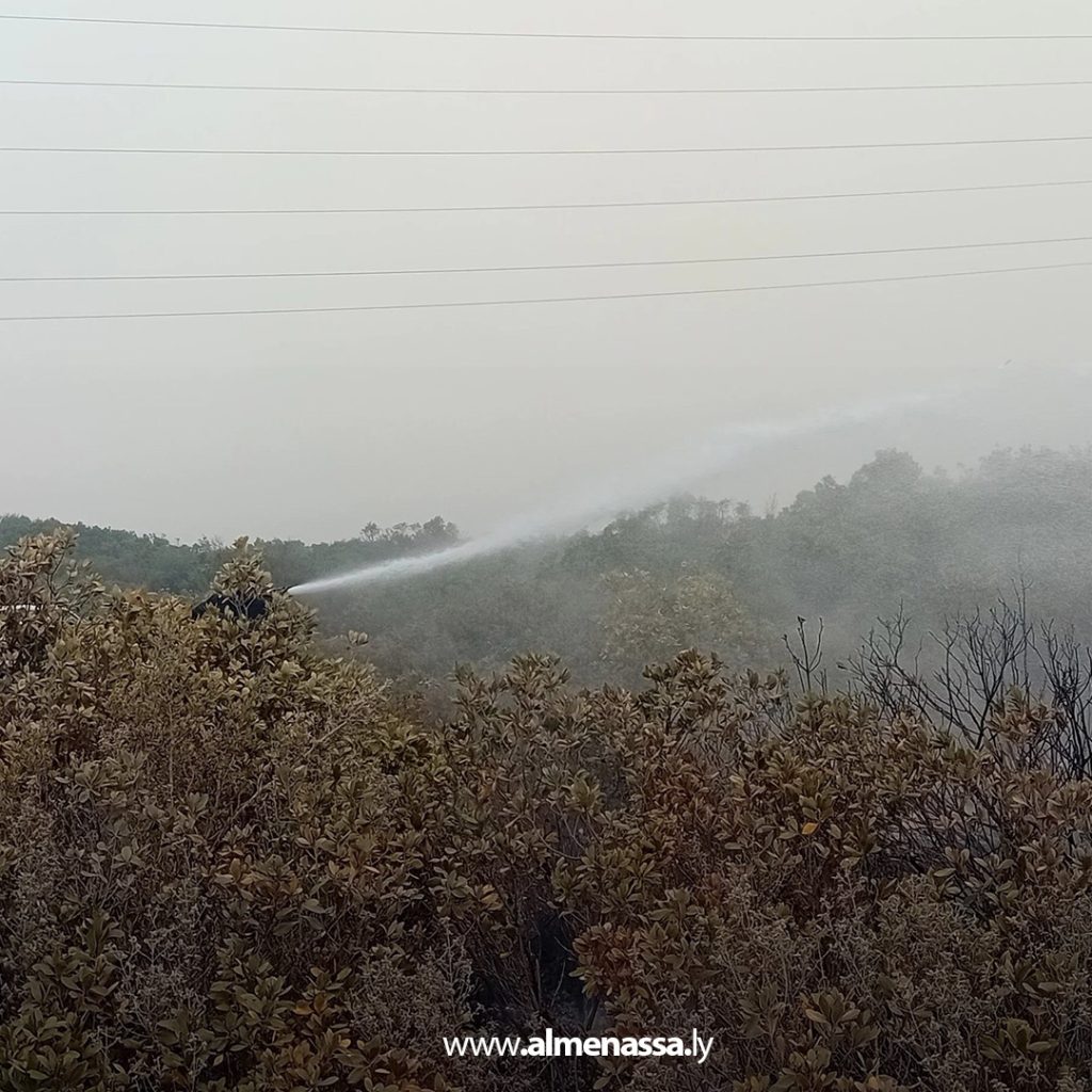 extra111111111111111 3 السيطرة على ثلاث حرائق في نطاق القبة بعد تدخل سريع من أجهزة الشرطة الزراعية والأمنية