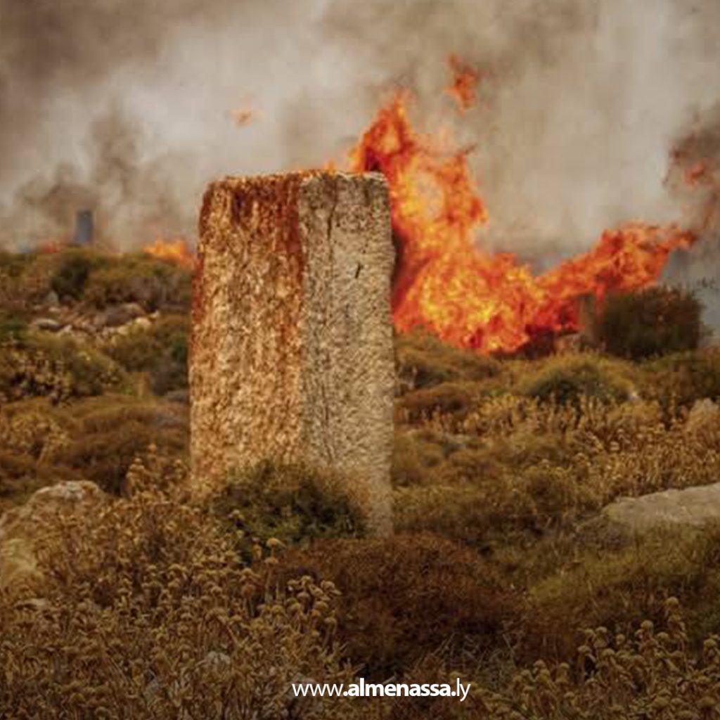 extra1111111111111111 3 السيطرة على ثلاث حرائق في نطاق القبة بعد تدخل سريع من أجهزة الشرطة الزراعية والأمنية