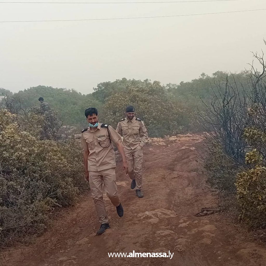 extra111111111111111111 1 السيطرة على ثلاث حرائق في نطاق القبة بعد تدخل سريع من أجهزة الشرطة الزراعية والأمنية