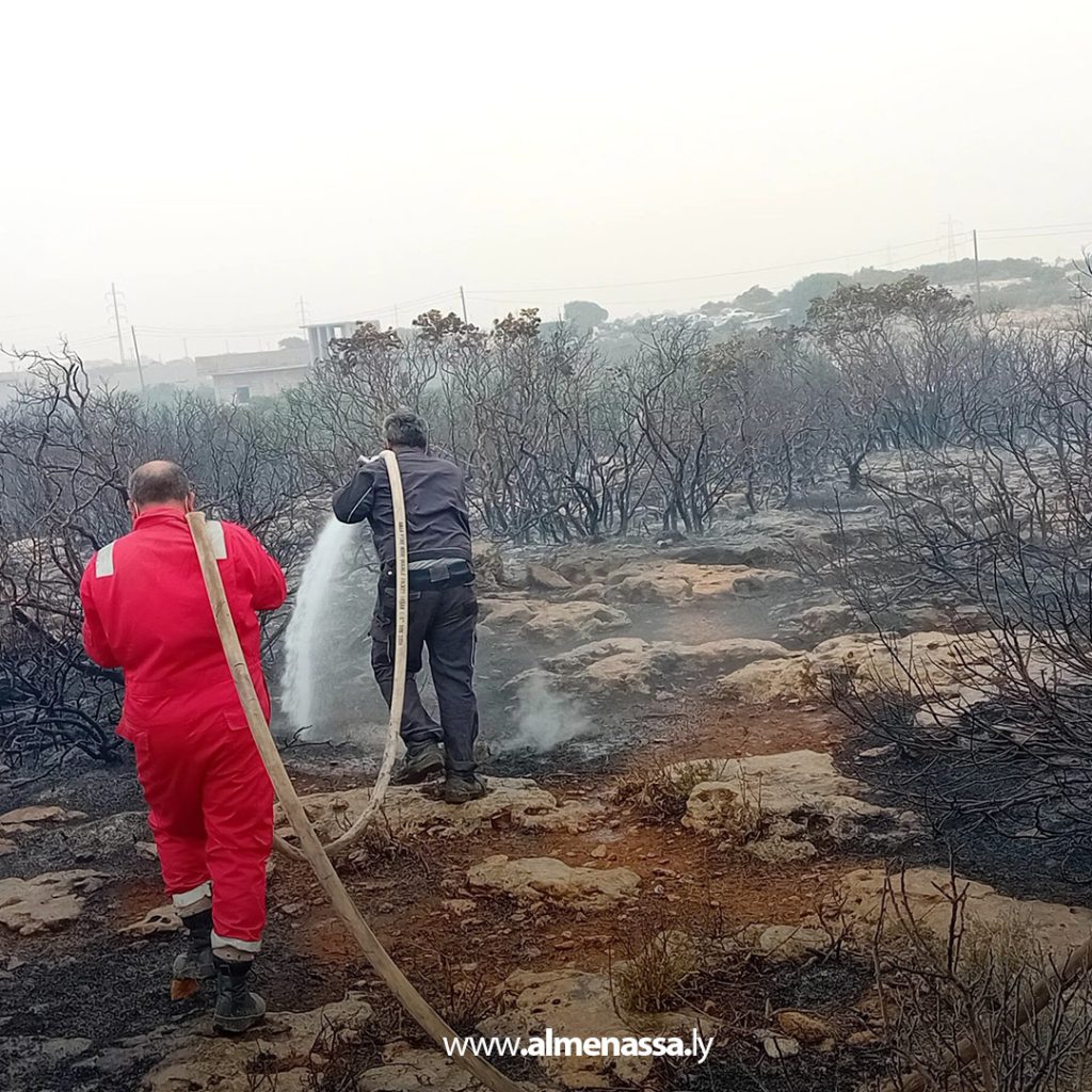 extra1111111111111111111 1 السيطرة على ثلاث حرائق في نطاق القبة بعد تدخل سريع من أجهزة الشرطة الزراعية والأمنية