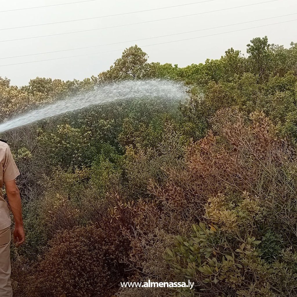 extra11111111111111111111 السيطرة على ثلاث حرائق في نطاق القبة بعد تدخل سريع من أجهزة الشرطة الزراعية والأمنية