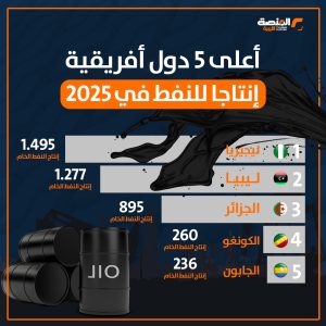 أعلى 5 دول أفريقية إنتاجا للنفط في 2025