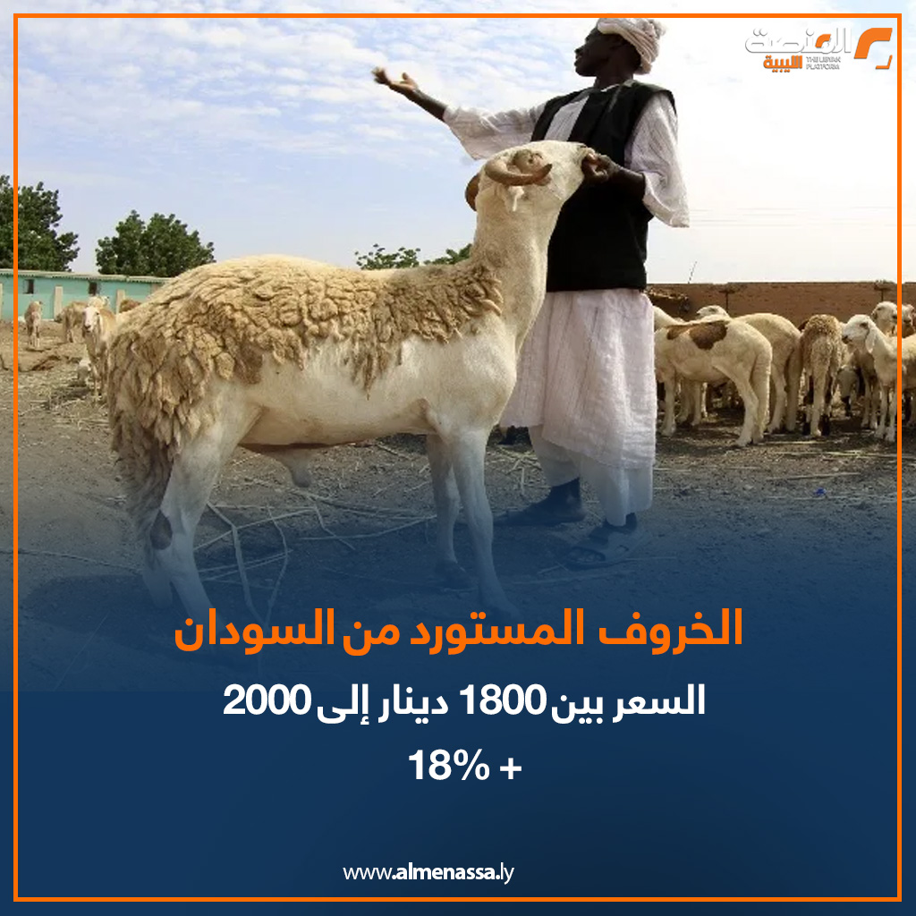 04 3 المنصة ترصد.. الخراف الإسبانية والسودانية تلحق بالخروف الوطني "البرقاوي" في زيادة الأسعار