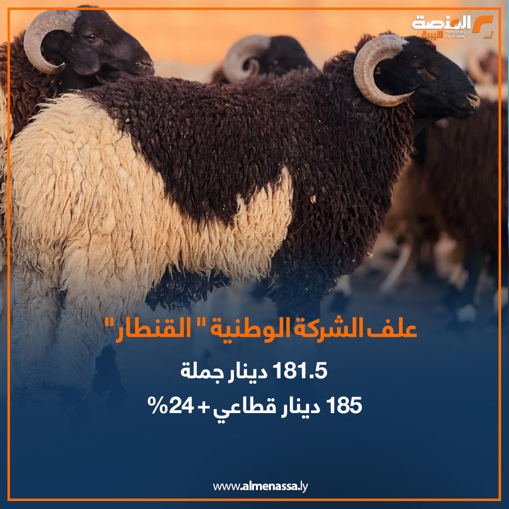 06 1 المنصة ترصد.. الخراف الإسبانية والسودانية تلحق بالخروف الوطني "البرقاوي" في زيادة الأسعار