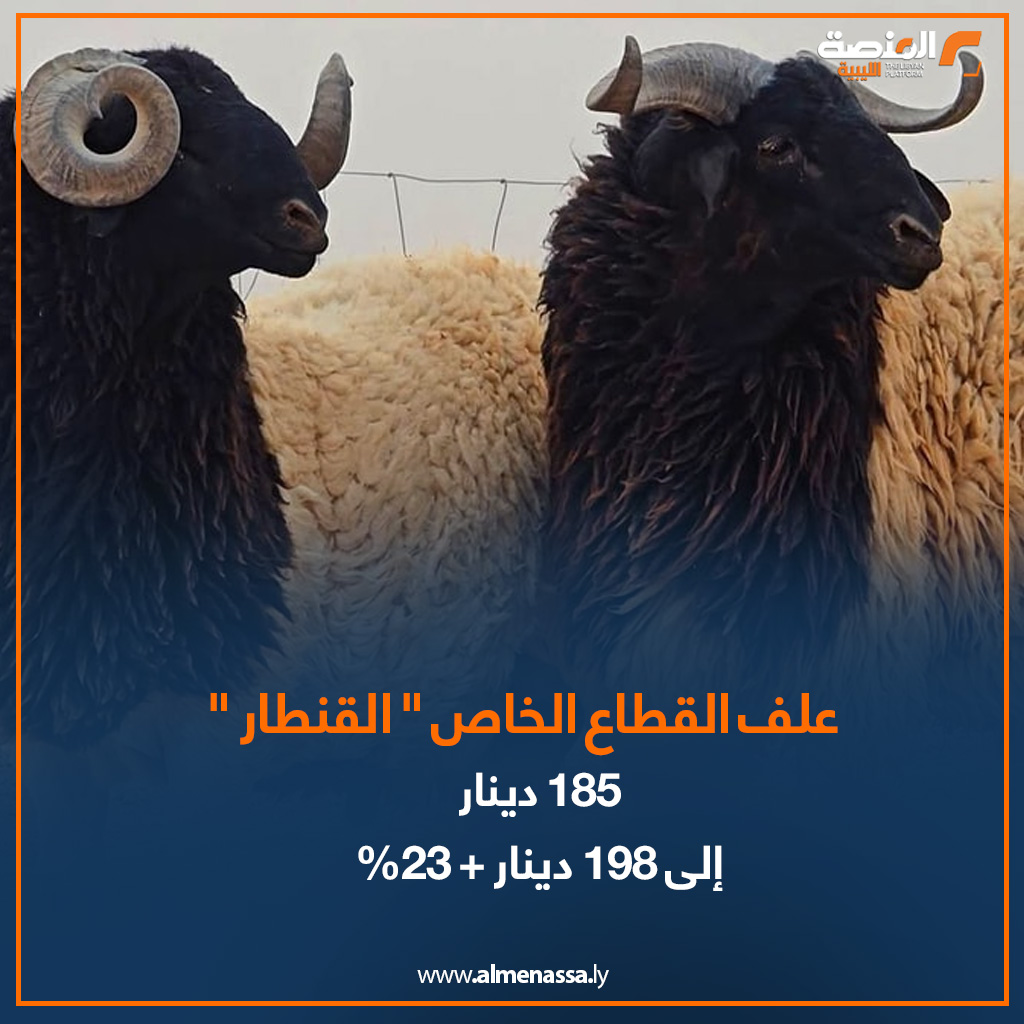 07 2 المنصة ترصد.. الخراف الإسبانية والسودانية تلحق بالخروف الوطني "البرقاوي" في زيادة الأسعار