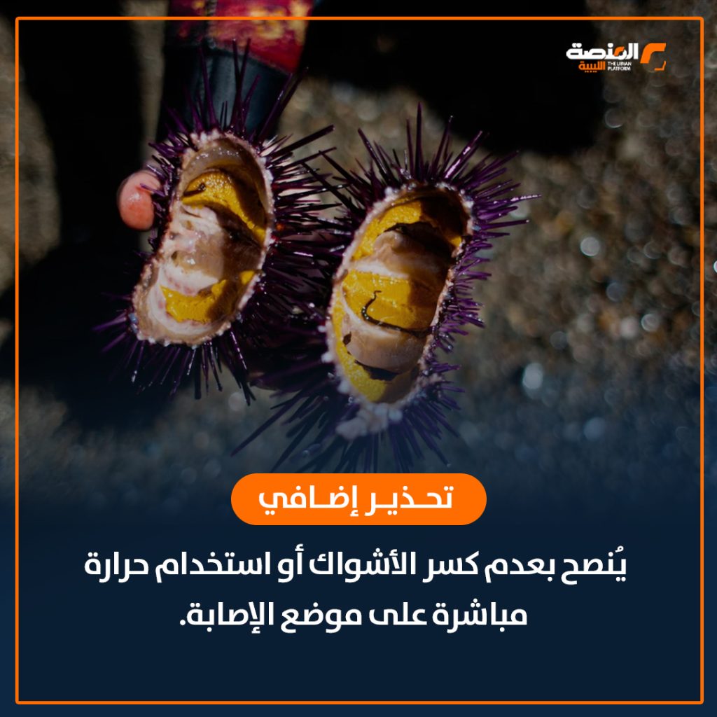 07 copy 14 جمعية علم الأحياء البحرية تحذر من خطورة قنفذ البحر المسجل وجوده في ليبيا لأول مرة في 2021
