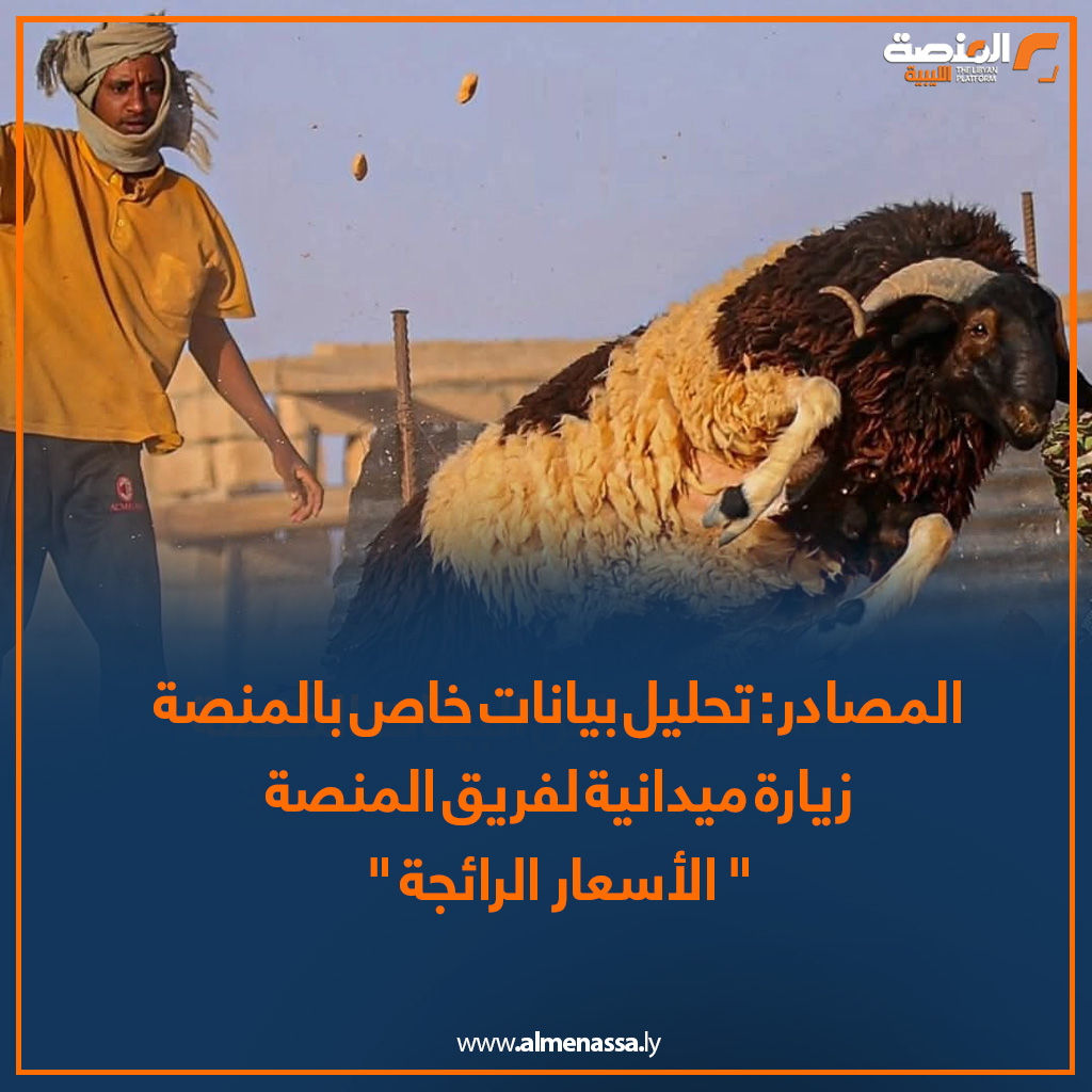 Artboard 7 المنصة ترصد.. الخراف الإسبانية والسودانية تلحق بالخروف الوطني "البرقاوي" في زيادة الأسعار