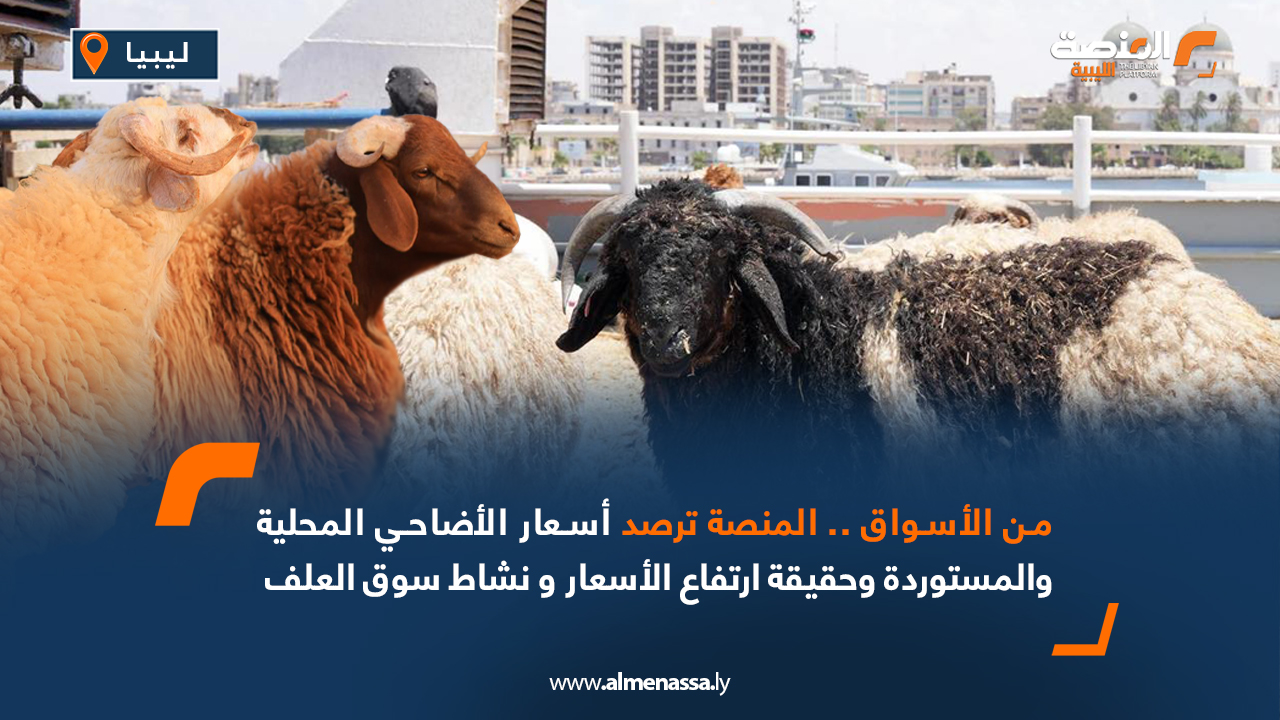 من الأسواق...المنصة ترصد أسعار الأضاحي المحلية والمستوردة وحقيقة ارتفاع الأسعار ونشاط سوق العلف  