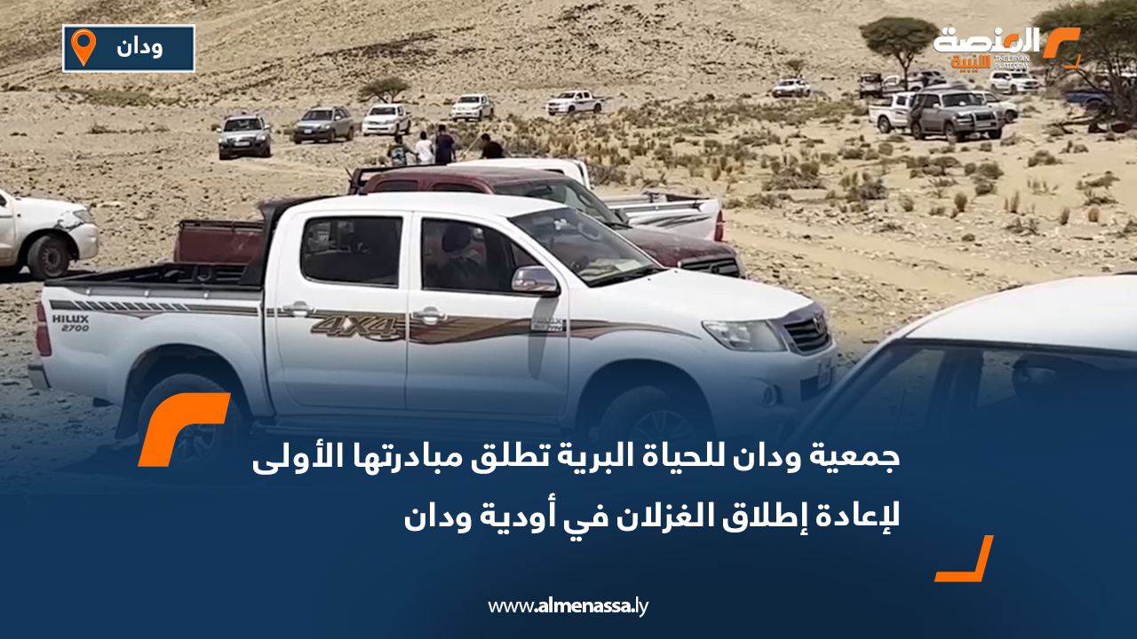 جمعية ودان للحياة البرية تطلق مبادرتها الأولى لإعادة إطلاق الغزلان في أودية ودان