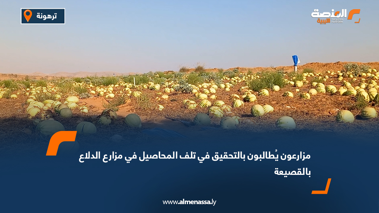 مزارعون يُطالبون بالتحقيق في تلف المحاصيل في مزارع الدلاع بالقصيعة