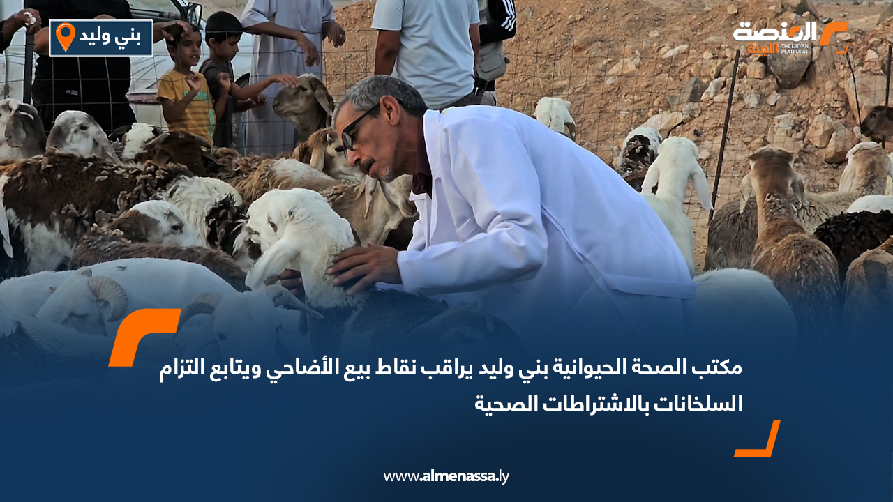 مكتب الصحة الحيوانية بني وليد يراقب نقاط بيع الأضاحي ويتابع التزام السلخانات بالاشتراطات الصحية