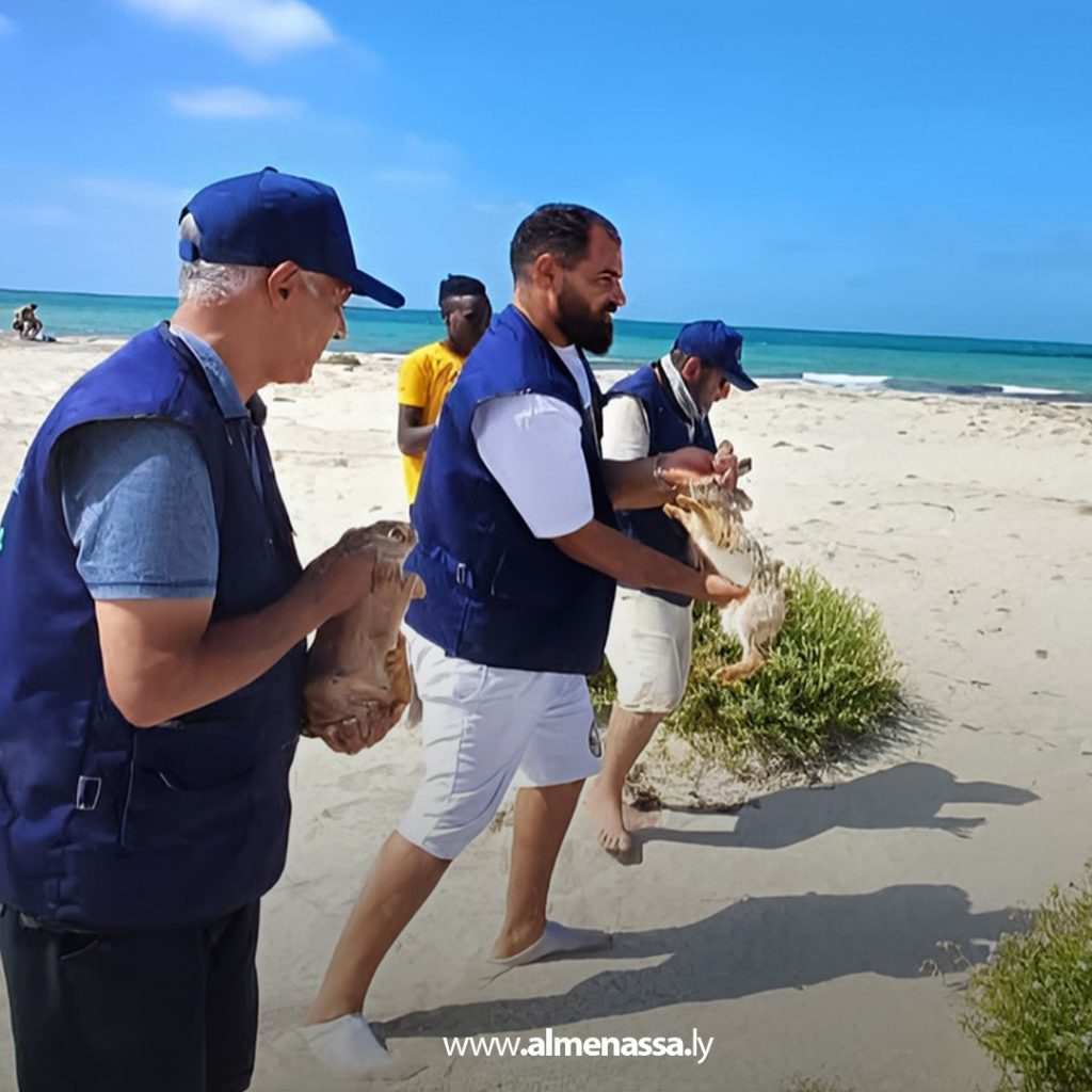 extra 8 جمعية بيسيدا البيئية لحماية جزيرة وبحيرة "فروة" تطلق مجموعة من الارانب البريّة