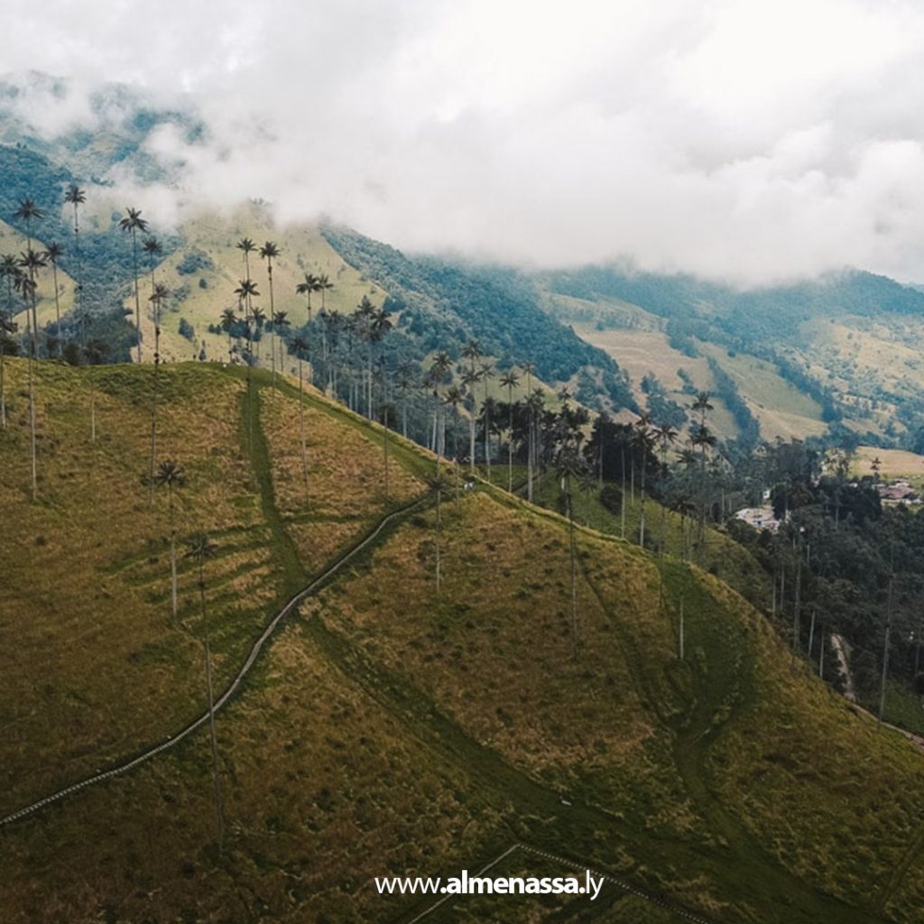 extra1 126 دراسة جينية تكشف عن مجموعة بشرية منقرضة في كولومبيا لا تمت بصلة إلى سكان اليوم